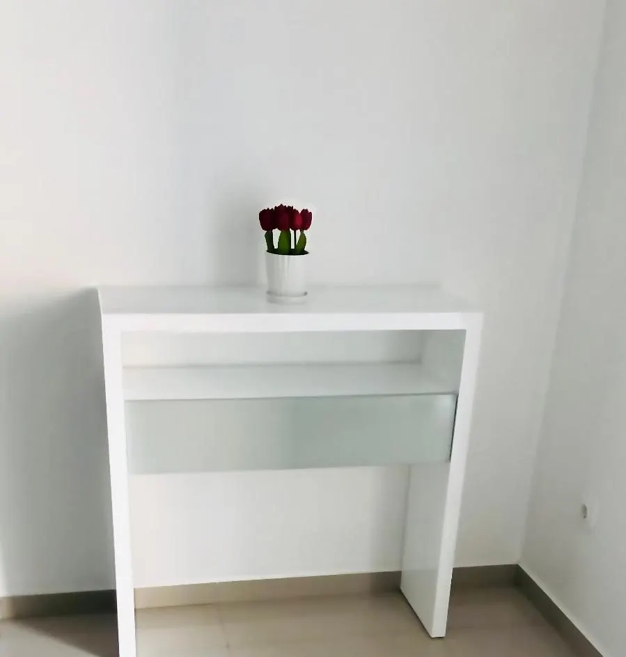 Apartamento Da Costa Ribeira Grande Apartment